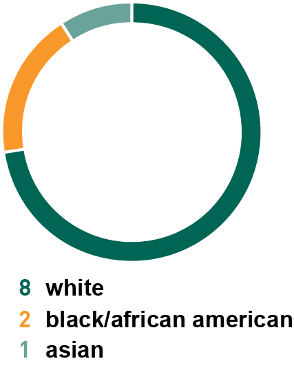 piecharts_racial-ethnicdiv.jpg